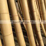 Raw Moso Bamboo Poles /canes/sticks thumbnail-2