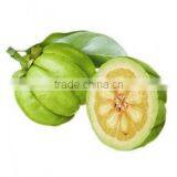 GARCINIA CAMBOGIA EXTRACT thumbnail-3