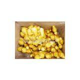 Ginger,ginger Supplier,fresh Ginger,Chinese Ginger thumbnail-2