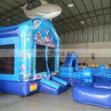 Best Seller Lovely Dolphin Theme Combo With Slide