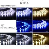 DC12V LED Strip 5050 60LEDs /m 5M IP20 IP65 LED Flexible Strip Light 5050 SMF + DC12V Adapter White / Warm White thumbnail-5