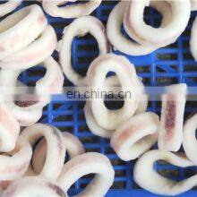 Frozen Todarodes Squid Ring Japan Squid Ring Wholesale thumbnail-2