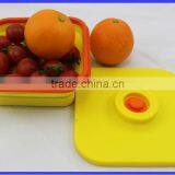 Original Creation Foldable Lunchbox thumbnail-2