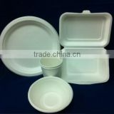 Biodegradable Plate,bowl, box & cup