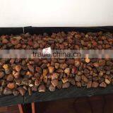 20-50! High Quality Raw Amber ! thumbnail-1