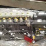Competitive Price Fuel Injection Pump 0 402 736 924