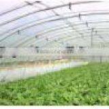 Agriculture Plastic Film 5 Layers PE Greenhouse Film thumbnail-3