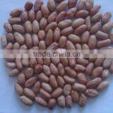 Good Peanuts From China thumbnail-1