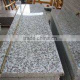 Black and White G439 Granite,white Granite,stone Tiles