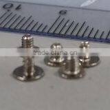 Micro Screw, Fastener, Metal Rivet Pin & Cold Forging Part thumbnail-1