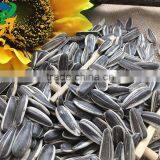 Raw Sunflower Seeds 0409 Stye thumbnail-2