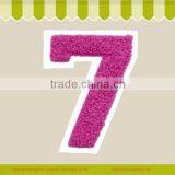 High Quality New Design Embroidered Chenille Patches thumbnail-4