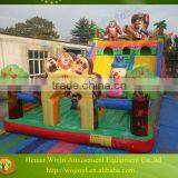 2016 Giant Inflatable Lounge Dry Slide