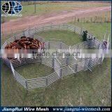 CATTLE YARD SET UP FOR 25 HEAD thumbnail-4