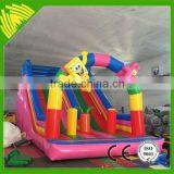 Giant Inflatable Slide For Sale Inflatable Slide For Adult thumbnail-3