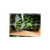 The Best Seller of Vietnamese Cavendish Banana thumbnail-1