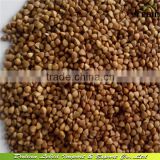 2016 crop Hulled Roasted Buckwheat Kernels