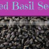Bottled Basil Seed Drink thumbnail-6