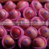 Chinese Exporter Fresh Red Fuji Apple Fruits Natural Growth Containing Vitamin C thumbnail-2