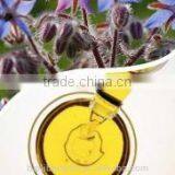 NSF High Quality Essential Borage Seed Oil thumbnail-2