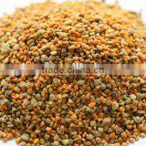 China Low Price Sweet Camellia Bee Pollen Grain