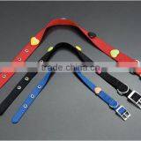 Nylon Dog Collar thumbnail-1