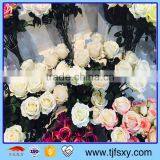 Simulation Art Rose thumbnail-4