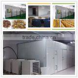 Customization Available Heated Air Circulation Intelligent Control Mushroom Dryer thumbnail-6