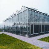 Multi Span Mushroom Greenhouse for Agriculture thumbnail-5