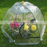 Easy Up Greenhouse thumbnail-1