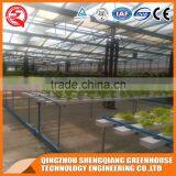 Vegetable Product Venlo Glass Green House Hydroponic System thumbnail-5