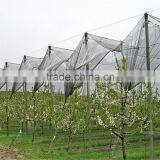 Customed Vineyard Anti Hail Nets Horticultural Fruit Protection Netting thumbnail-4