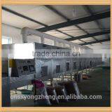 Bird Health Food 2.8 cm Yellow Dried Mealworms thumbnail-3