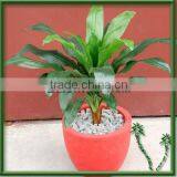 Flower Pot Flower Planter thumbnail-1