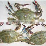 Seafood and Qualtiy King Crabs thumbnail-1