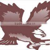 Atlantic Lobster - Live thumbnail-2