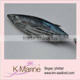 Live Seafood Trading Company Fresh Tuna thumbnail-1