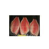 Tilapia Fillet thumbnail-1