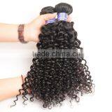 Wholesale Virgin Malaysian Hair, 100% Unprocessed Malaysian Virgin Hair, Malaysian Hair Curly Bundles thumbnail-6