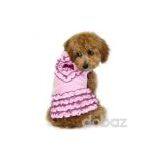 Apparel for Dog ( 2010 New Collection for Dog Apparel) thumbnail-1