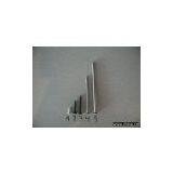 Common Nail thumbnail-1