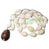 Mother of Pearl-Shell Beads String (mala), Size: 17x12x8mm thumbnail-1
