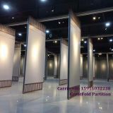 Factory Directly Sell Office Partition Grass Wall Building Material Panels Dividers for Exhibition Halls