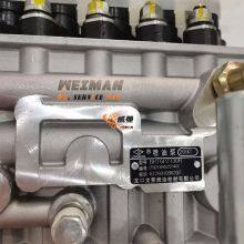 Original WEICHAI 612601080397 Fuel Injection Pump for Wheel Loader Spare Parts in Stock. thumbnail-3