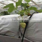 High Quality 10mm Polycarbonate Greenhouse thumbnail-2