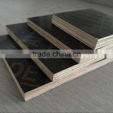 Construction Black 18mm Finger Joint for Film Faced Plywood thumbnail-3