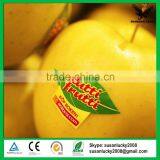 Eco Friendly Self-adhesive Paper Product Labels thumbnail-1