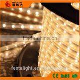 High Power SMD3528 and 5050 LED Strip Lights thumbnail-1