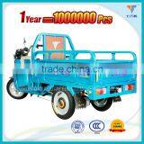 Electri Tricycle for Sale in Philippines, Inida, Vietnam and Southeast Asia