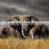 Animal Painting Xd-animal01082 thumbnail-1